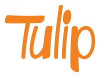 Tulip Lighting